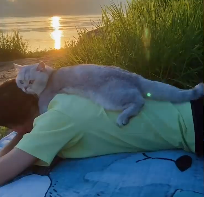 Video: Boss mèo được sen dắt đi chơi khắp thế gian khiến dân mạng vừa ghen tị vừa phát cuồng vì quá sức đáng yêu - Ảnh 6.