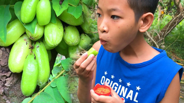 Có tới 90% trong số chúng ta không biết tên loại quả “chua vô địch” này, cô gái đăng ảnh chấm muối ăn sống mà ai nhìn cũng… ứa nước miếng - Ảnh 4.