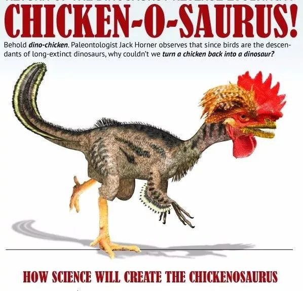 Chuyện lạ: Hồi sinh khủng long ăn thịt đã tuyệt chủng 65 triệu năm từ gà? - Ảnh 4.