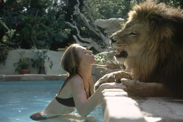 Bức ảnh con sư tử tấn công cô gái trẻ ngỡ là khoảnh khắc kinh hoàng cuối cùng của nạn nhân nhưng sự thật trái ngược hoàn toàn - Ảnh 6.