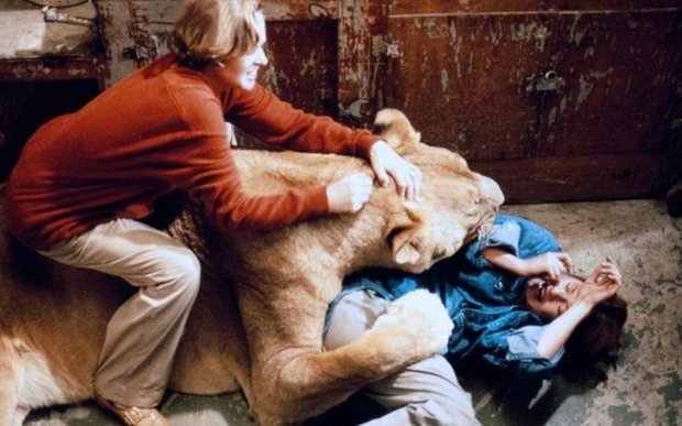 Bức ảnh con sư tử tấn công cô gái trẻ ngỡ là khoảnh khắc kinh hoàng cuối cùng của nạn nhân nhưng sự thật trái ngược hoàn toàn - Ảnh 7.