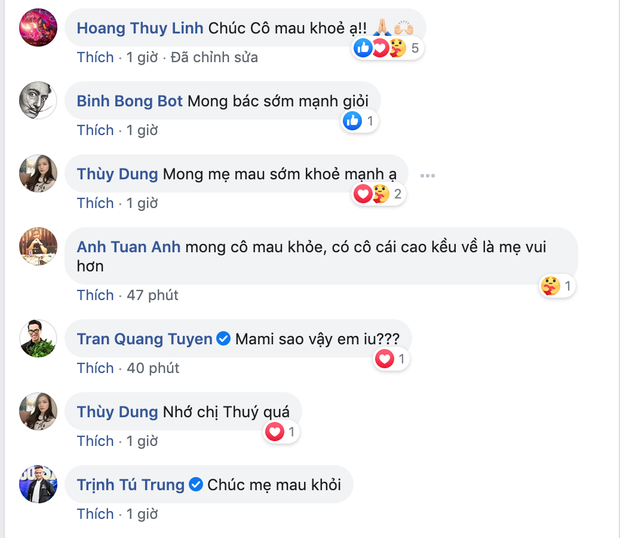 Mẹ Mai Phương Thuý bất ngờ nhập viện cấp cứu, Hoàng Thuỳ Linh và nhiều sao Việt gửi lời hỏi thăm - Ảnh 2.