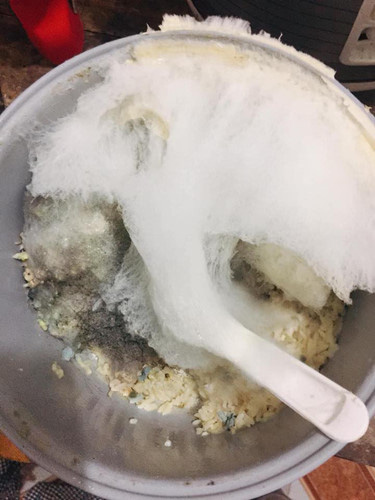 Kí túc xá ngày trở lại và những câu chuyện cười ra nước mắt: Khoai lang mọc mầm dài vài mét, bàn phím xanh rêu - Ảnh 2. Kí túc xá ngày trở lại và những câu chuyện cười ra nước mắt: Khoai lang mọc mầm dài vài mét, bàn phím xanh rêu - Ảnh 2.