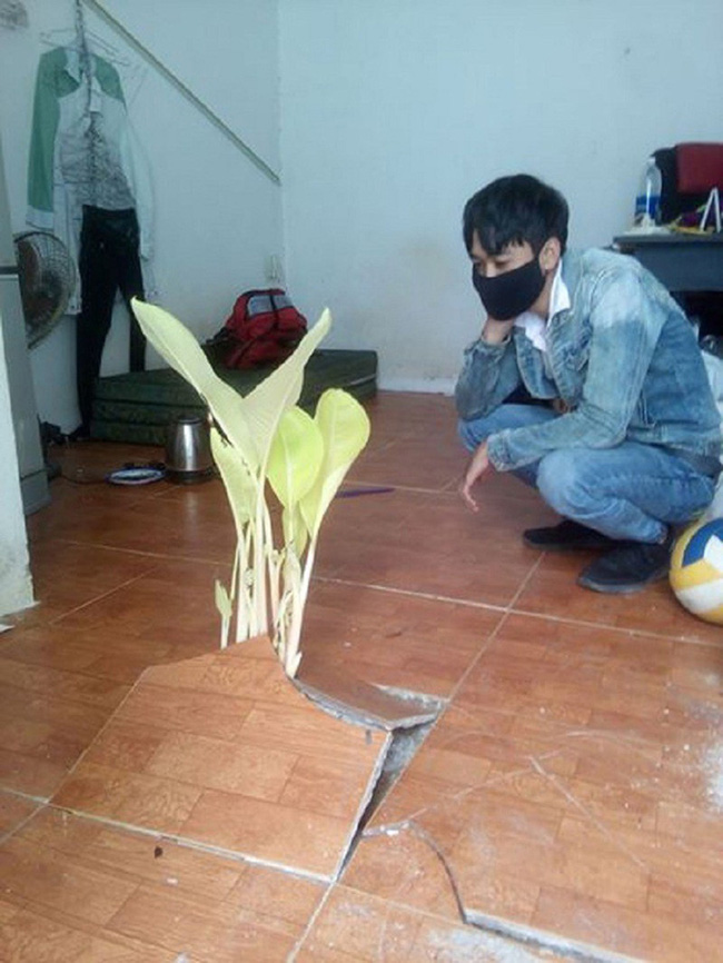 Kí túc xá ngày trở lại và những câu chuyện cười ra nước mắt: Khoai lang mọc mầm dài vài mét, bàn phím xanh rêu - Ảnh 3. Kí túc xá ngày trở lại và những câu chuyện cười ra nước mắt: Khoai lang mọc mầm dài vài mét, bàn phím xanh rêu - Ảnh 3.