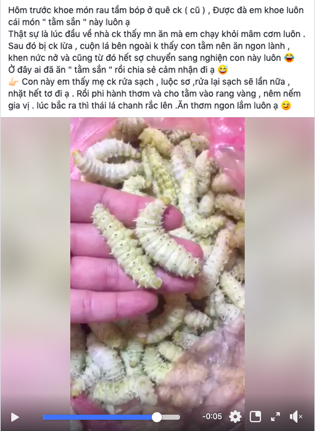 Đăng clip một loại côn trùng bò lúc nhúc như sâu, cô gái tiết lộ đây là đặc sản ngon nức tiếng ở quê mình khiến dân mạng “té ngửa” - Ảnh 1. Đăng clip một loại côn trùng bò lúc nhúc như sâu, cô gái tiết lộ đây là đặc sản ngon nức tiếng ở quê mình khiến dân mạng “té ngửa” - Ảnh 1.