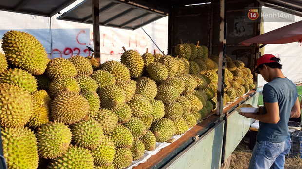 Sầu riêng bao ăn chất đống khắp vỉa hè Sài Gòn với giá siêu rẻ chỉ 50.000 đồng/kg: Gặp hạn mặn nên bán được đồng nào hay đồng đó! - Ảnh 10.