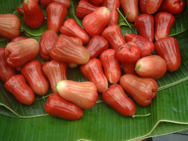 Lần đầu nhờ chồng xẻ quả roi cho ăn, c&ocirc; g&aacute;i &ldquo;t&aacute; hoả&rdquo; khi nh&igrave;n thấy th&agrave;nh phẩm: Nhưng điều d&acirc;n mạng tranh c&atilde;i nhất lại l&agrave; đ&acirc;y! - Ảnh 12.