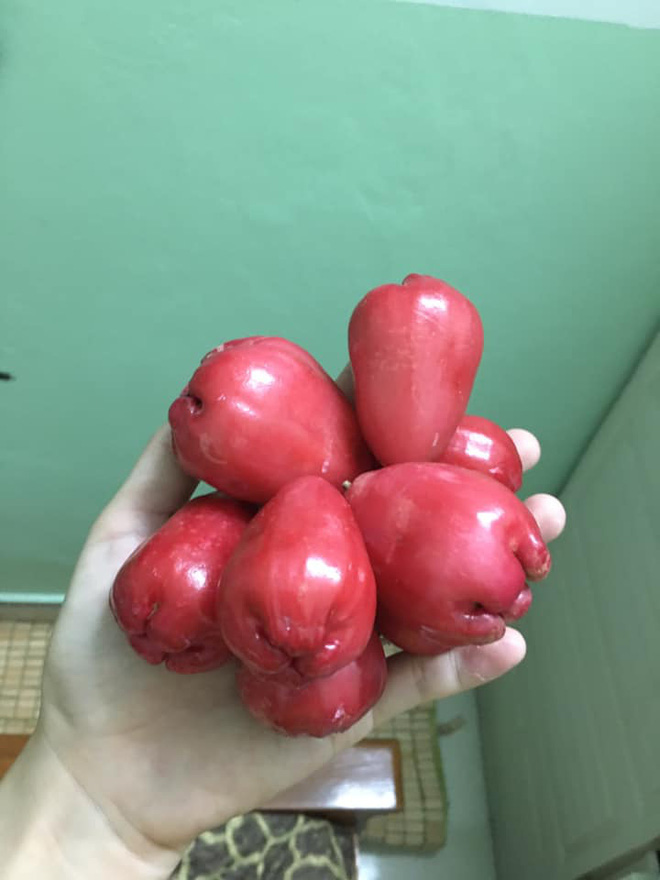 Lần đầu nhờ chồng xẻ quả roi cho ăn, c&ocirc; g&aacute;i &ldquo;t&aacute; hoả&rdquo; khi nh&igrave;n thấy th&agrave;nh phẩm: Nhưng điều d&acirc;n mạng tranh c&atilde;i nhất lại l&agrave; đ&acirc;y! - Ảnh 3.