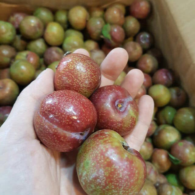 Lần đầu nhờ chồng xẻ quả roi cho ăn, c&ocirc; g&aacute;i &ldquo;t&aacute; hoả&rdquo; khi nh&igrave;n thấy th&agrave;nh phẩm: Nhưng điều d&acirc;n mạng tranh c&atilde;i nhất lại l&agrave; đ&acirc;y! - Ảnh 7.