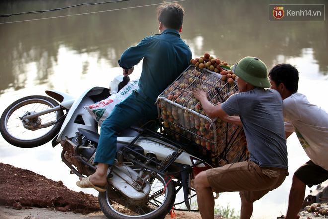 Vải thiều Bắc Giang vào vụ, dân gồng mình chở hàng tạ vải chòng chành qua chiếc cầu phao “tử thần”: “Ngã lộn xuống sông là chuyện bình thường” - Ảnh 10.