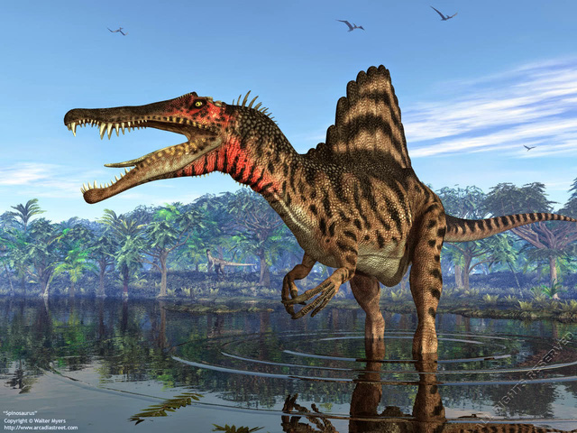 Top 5 điều thú vị xoay quanh Spinosaurus - kẻ săn mồi đáng sợ ngang cơ cả T-REX - Ảnh 1.
