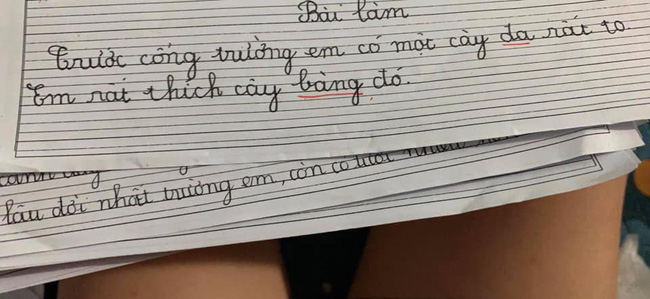 Cười đau bụng với những bài văn tả cây yêu thích của học sinh lớp 1: Hài hước, ngây ngô nhưng bất ngờ nhất là pha tổ lái khó đỡ - Ảnh 1.