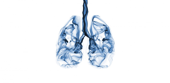 Khi môi trường luôn ô nhiễm và bệnh COVID-19 vẫn rình rập, hãy nhớ 3 việc cần tránh xa và 9 việc cần làm để phổi luôn khỏe mạnh - Ảnh 3.
