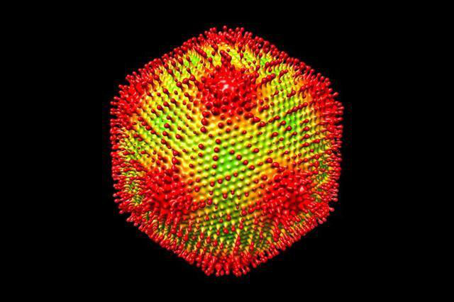 Loại virus cổ đại có thể biến sinh vật trở thành đá như Medusa trong thần thoại Hy Lạp - Ảnh 1. Loại virus cổ đại có thể biến sinh vật trở thành đá như Medusa trong thần thoại Hy Lạp - Ảnh 1.