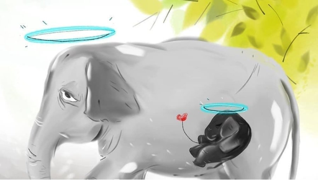 Sự thật về người đ&agrave;n &ocirc;ng bị nghi l&agrave; thủ phạm cho voi mẹ ăn tr&aacute;i dứa c&oacute; thuốc nổ để rồi chết đứng tr&ecirc;n s&ocirc;ng - Ảnh 4.