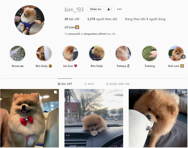 Hội chị em phát sốt với chú cún nhà thủ môn Đặng Văn Lâm: Bé xíu đã được đi du lịch từ Âu sang Á, ăn ở sang chảnh đúng đẳng cấp thú cưng - Ảnh 5. Hội chị em phát sốt với chú cún nhà thủ môn Đặng Văn Lâm: Bé xíu đã được đi du lịch từ Âu sang Á, ăn ở sang chảnh đúng đẳng cấp thú cưng - Ảnh 5.