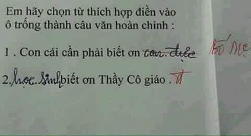 Cô giáo cười đau ruột khi chấm bài tập điền từ của học sinh vì lý do bất ngờ này - Ảnh 5.