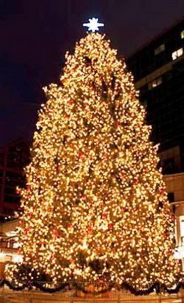 10 cây thông Noel khủng nhất nước Mỹ