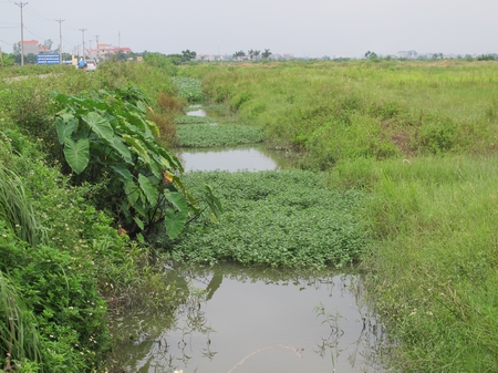 choang-voi-canh-hoang-vu-sieu-do-thi-me-linh