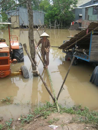 ngam-nhung-cay-cau-dang-so-nhat-the-gioi-rai-khap-dbscl