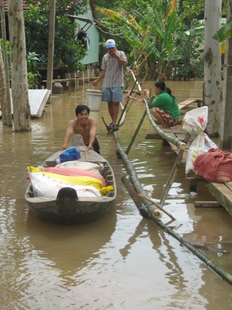 ngam-nhung-cay-cau-dang-so-nhat-the-gioi-rai-khap-dbscl