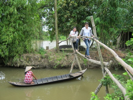 ngam-nhung-cay-cau-dang-so-nhat-the-gioi-rai-khap-dbscl