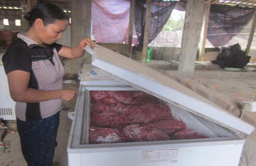 lang-nuoi-ran-ru-nhau-thoat-ngheo lang-nuoi-ran-ru-nhau-thoat-ngheo