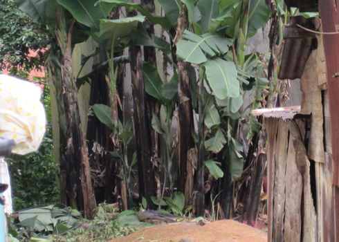tim-thay-thi-the-be-trai-mat-tich-72-ngay-duoi-gieng-hoang tim-thay-thi-the-be-trai-mat-tich-72-ngay-duoi-gieng-hoang