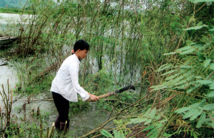 sat-thu-kieu-moc-trung-quoc-tan-cong-vao-vn-nhung-bai-hoc-dat-gia