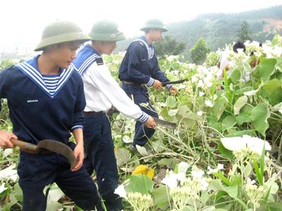 sat-thu-kieu-moc-trung-quoc-tan-cong-vao-vn-nhung-bai-hoc-dat-gia