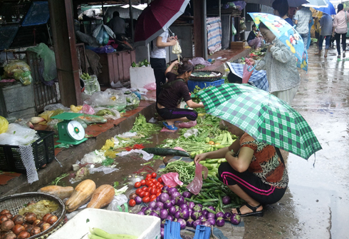 tieu-thuong-nghi-nhieu-rau-xanh-tang-gia-vi-mua-bao