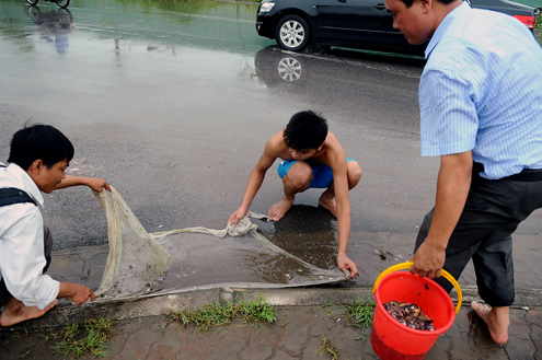 bat-ca-giua-duong-o-toa-nha-cao-nhat-viet-nam