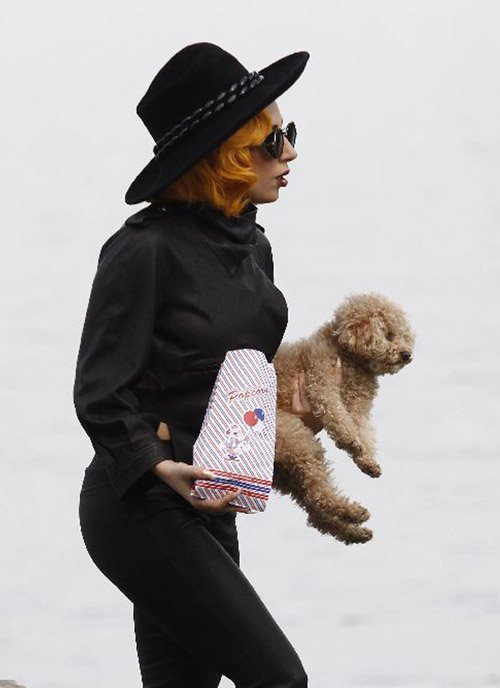 lady-gaga-dao-choi-cong-vien-cung-chu-cun-cung-fozzi