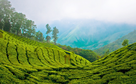 ha-noi-va-hoi-an-lot-top-10-diem-den-hap-dan-nhat-chau-a