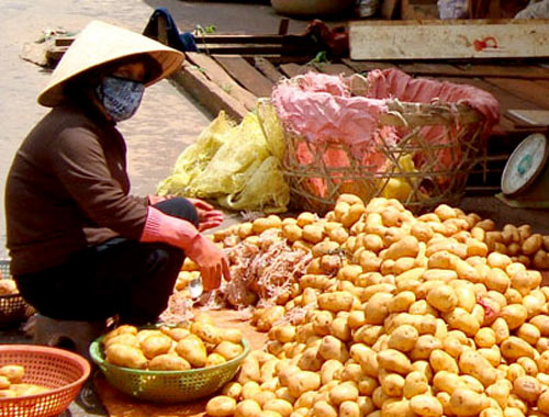 Chiêu biến hóa hàng Trung Quốc thành đặc sản Đà Lạt 1