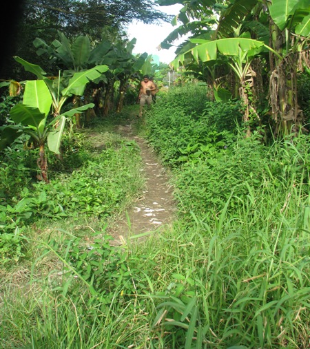 khu-mo-bi-lang-quen-cua-gia-dinh-cong-tu-bac-lieu