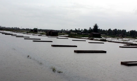 nghe-an-5-nguoi-chet-vi-mua-lu-thiet-hai-khoang-hon-600-ty-dong