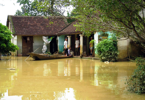 thanh-hoa-de-vo-nhan-chim-1500-nha-dan