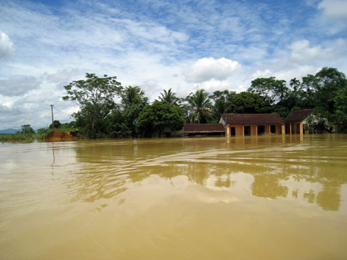 thanh-hoa-de-vo-nhan-chim-1500-nha-dan