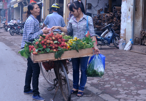 cam-sieu-re-tran-pho-ha-noi