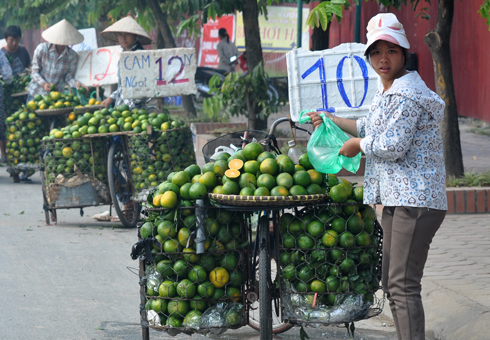 cam-sieu-re-tran-pho-ha-noi