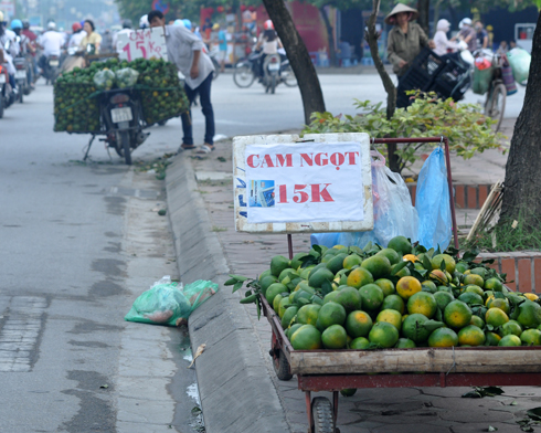 cam-sieu-re-tran-pho-ha-noi