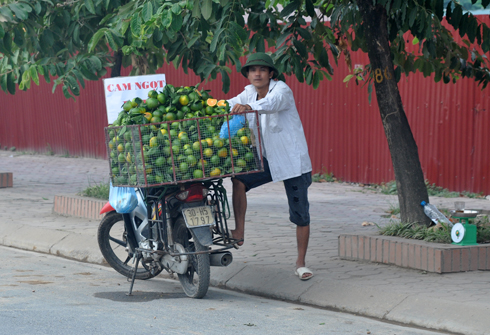 cam-sieu-re-tran-pho-ha-noi