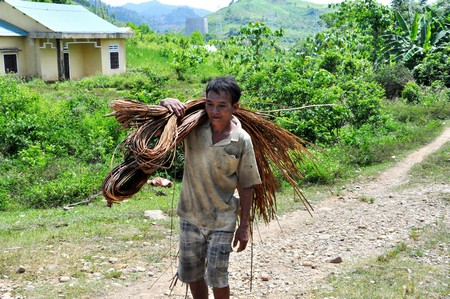 dan-tai-dinh-cu-thuy-dien-song-tranh-2-bo-nha-vi-dong-dat