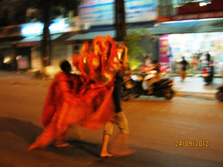 quang-binh-phat-hoang-xem-cac-doi-lan-nhi-tung-hoanh-giua-duong