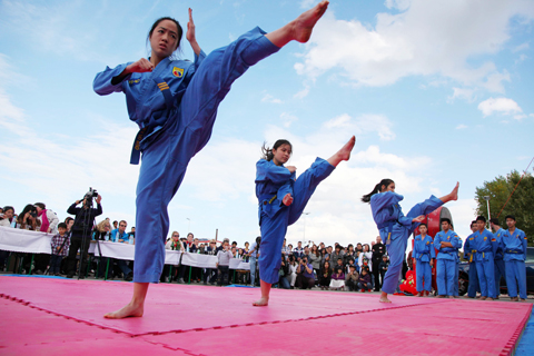 nguoi-viet-mang-vovinam-den-berlin