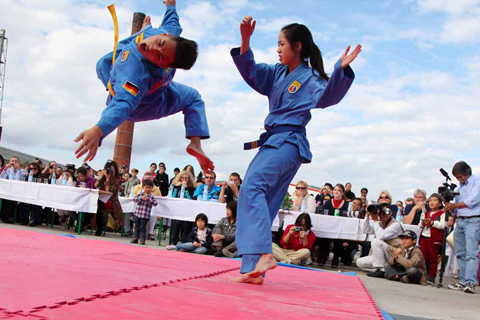 nguoi-viet-mang-vovinam-den-berlin