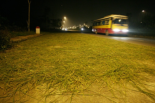 rom-ra-va-khoi-mu-tren-dai-lo-lon-nhat-viet-nam