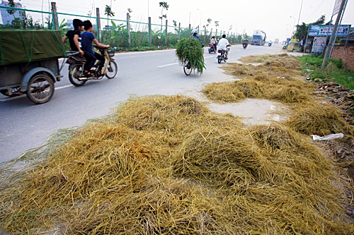 rom-ra-va-khoi-mu-tren-dai-lo-lon-nhat-viet-nam