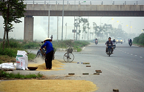 rom-ra-va-khoi-mu-tren-dai-lo-lon-nhat-viet-nam